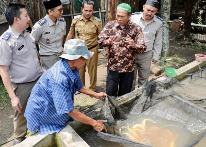 Reforma Agraria Hidupkan Potensi Desa Bandung Jadi Sumber Ekonomi Masyarakat