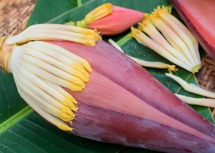 Manfaat Menakjubkan Jantung Pisang untuk Kesehatan Anda