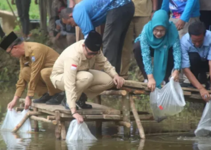 Bupati OKU Lepas Puluhan Ribu Bibit Ikan, Ditebar di 6 Kecamatan