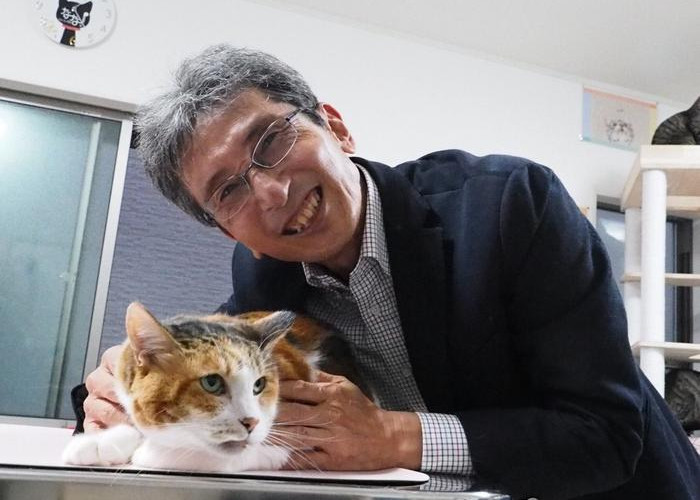 Akhirnya Terungkap! Ini Dia Rahasia di Balik Bulu Oren si Kucing