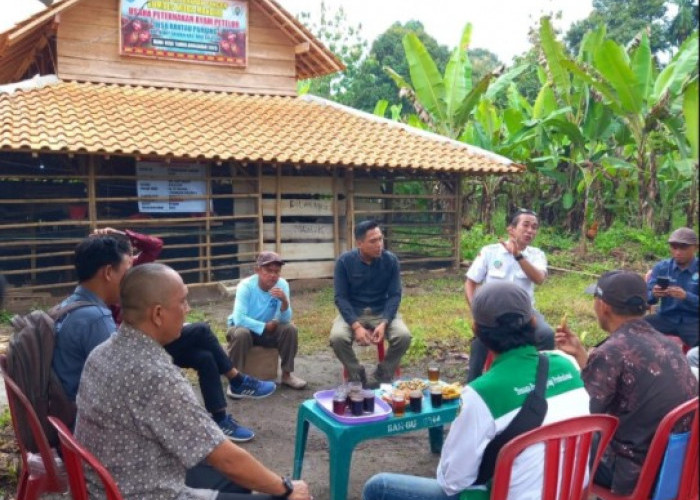 Dongkrak PADes, BUMDes Rantau Panjang Buay Rawan Raih Apresiasi