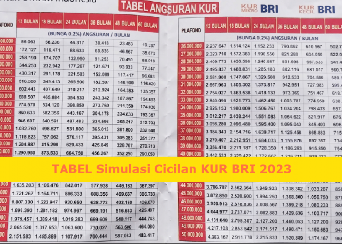Tabel Simulasi Cicilan KUR BRI 2023 Oktober 2023 Pinjaman sebesar Rp50 juta 