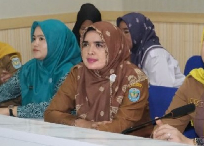 OKU Selatan Targetkan Nol Kematian Ibu Hamil