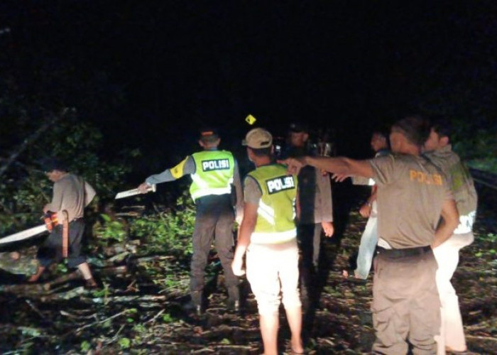 Pohon Tumbang Ganggu  Lalu Lintas di OKu Berhasil Dievakuasi Petugas