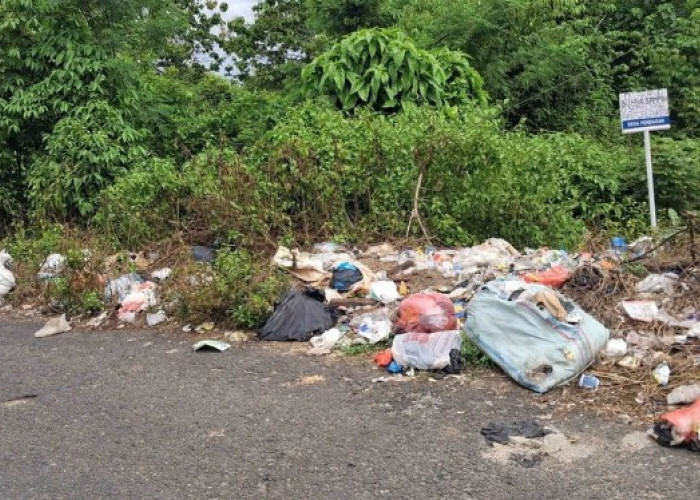 Warga Resah Sampah Liar Kembali Menumpuk  