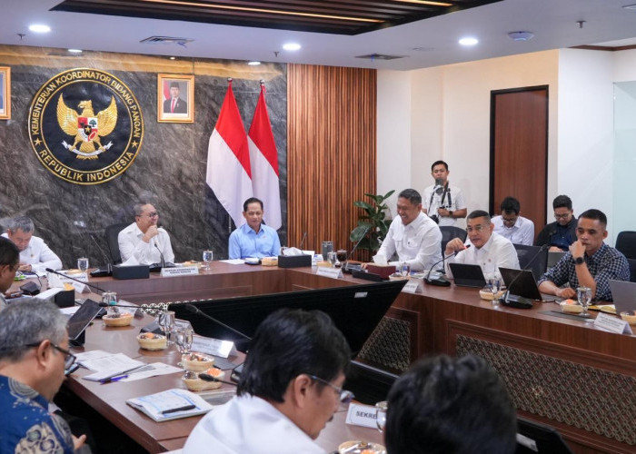 ATR/BPN Laporkan Progres Dukungan KSPEAN Papua Selatan   ​