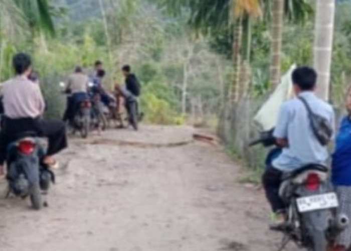 Demi Sinyal, Warga Galang Tinggi Rela Masuk Perkebunan