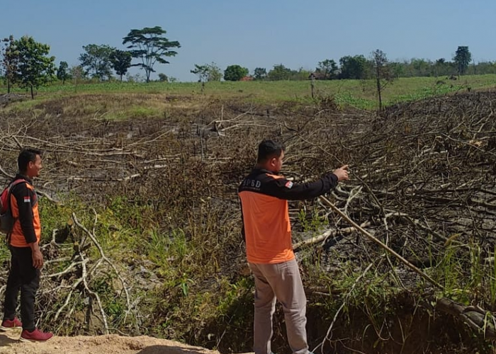 Karhutlah di OKU, Api Melalap Lahan di Desa Terusan