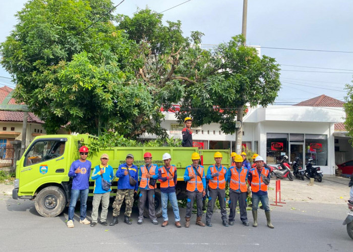 PLN ULP Baturaja dan Dinas Perkim OKU Kolaborasi Pangkas Pohon Demi Keandalan Listrik Musim Hujan