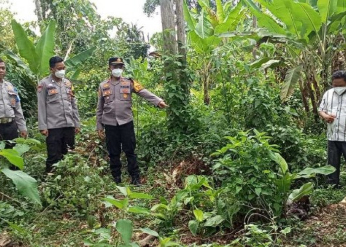 Identitas Tulang Belulang di OKU Selatan Terungkap, Korban Bernama Muslimin