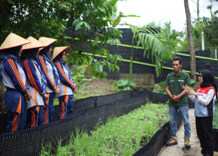 PGE Area Ulubelu Perkuat Ketahanan Pangan dan Pemberdayaan Perempuan Melalui Program Hortikultura