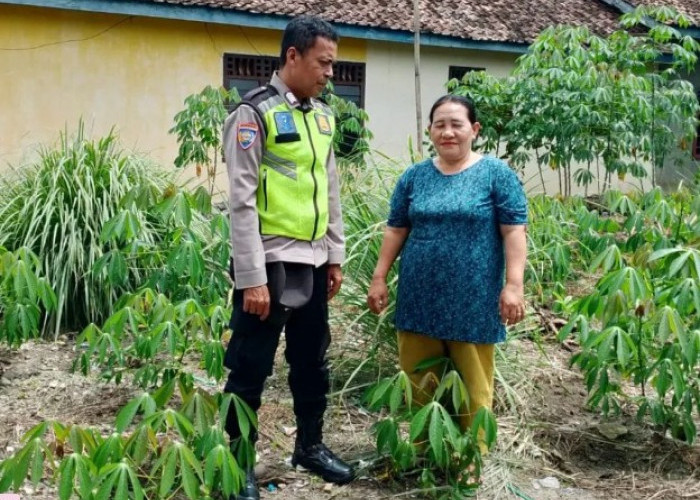 Polsek Buay Sandang Aji Tinjau Ketahanan Pangan di Desa Gunung Terang