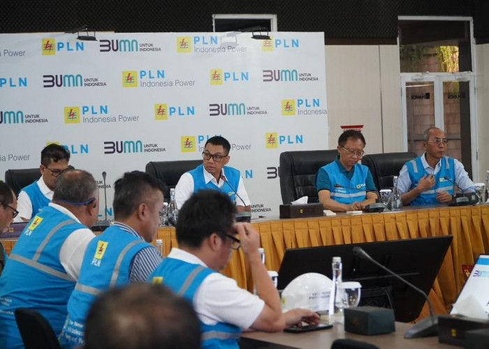 Gubernur Bali Puji Kinerja PLN Atasi Gangguan Listrik dengan Respon Cepat
