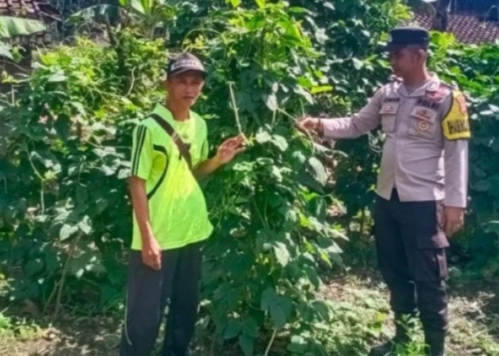 Ajak Warga Tanam Sayur di Pekarangan untuk Ketahanan Pangan
