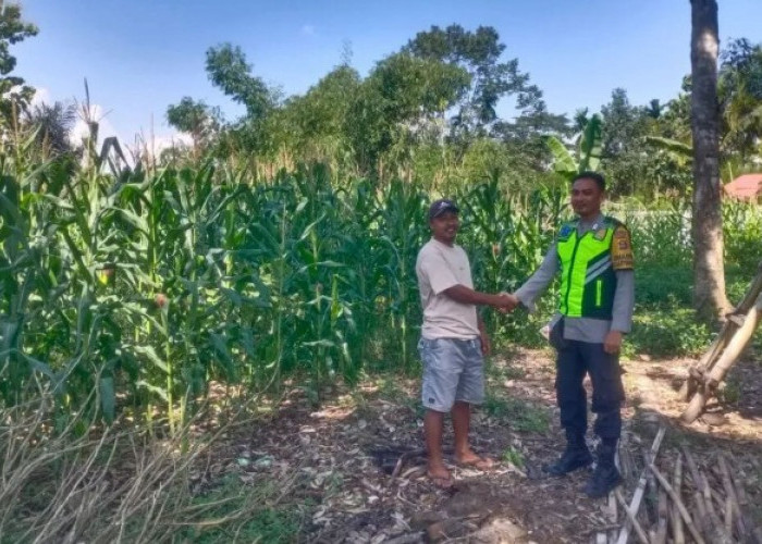 Bhabinkamtibmas Beri Pembinaan Pengelola Ketahanan Pangan
