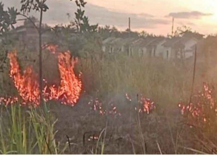BPBD OKU Imbau Warga Waspada Karhutla di Musim Kemarau