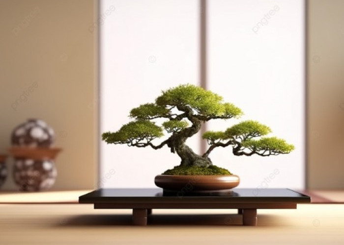 Bonsai: Lebih dari Sekadar Hobi, Ini Dia Manfaatnya!