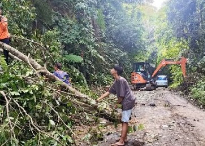 BPBD OKU Selatan Imbau Warga Waspadai Ancaman Longsor