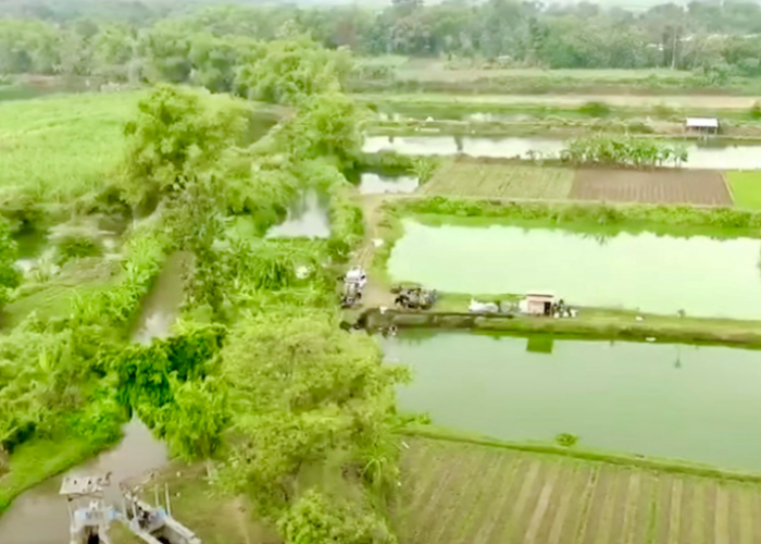 Potensi Desa Meningkat Setelah Program Penataan Akses Reforma Agraria