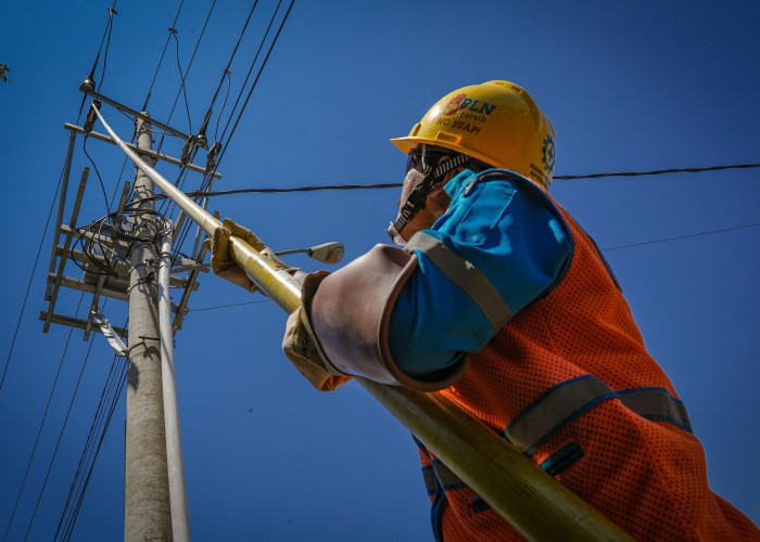 PLN Catat Kinerja Keuangan Kokoh 2024, DER dan CICR Terjaga Positif