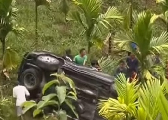 Laka Tunggal, Fortuner Terperosok di Perkebunan Sawit di OKU, Begini Nasib Sopir