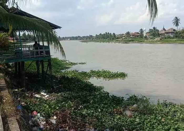 Dampak Kekeringan, Sungai Komering Diserbu Warga untuk Mencuci dan Mandi, Bahkan Rela Antri