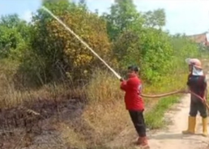 Kebakaran Lahan,di OKU Berhasil Dipadamkan Sebelum Merembet ke Permukiman