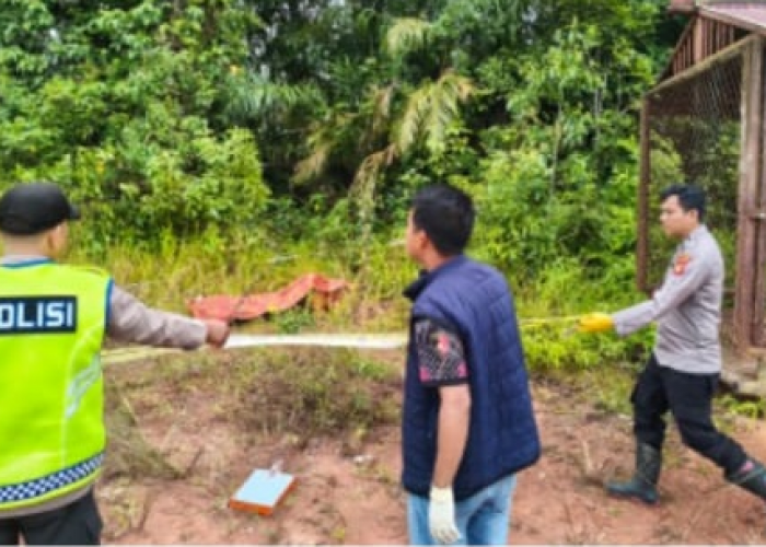 Petani di OKU Ditemukan Tewas di Bawah Kabel Tegangan Tinggi