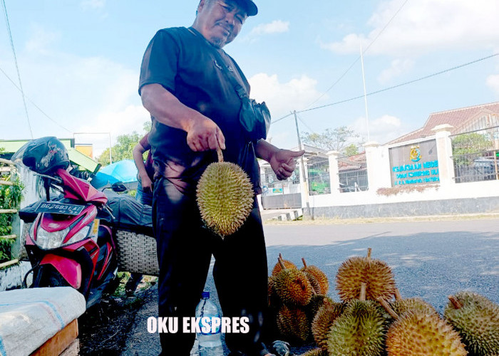 Durian Simpang Banjiri Baturaja, Begini Cara Pilih Supaya Tidak Kecewa Saat Membeli