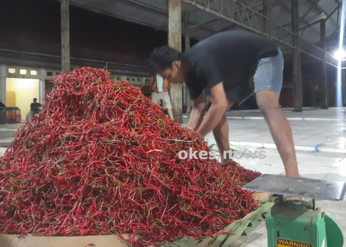 Harga Cabai di OKU Meroket Jelang Nataru, Pengusaha Rumah Makan Meratap
