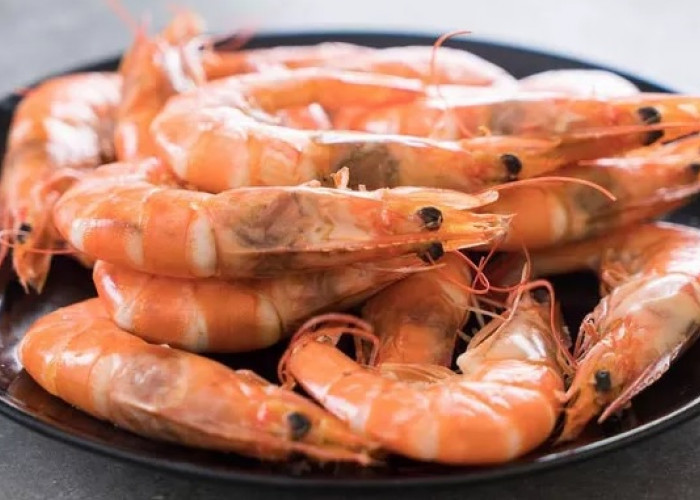 Cara Mengatasi Alergi Udang Berikut Obat dan Tips Pencegahannya