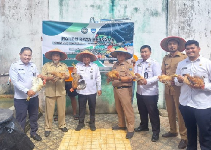 Lakukan Panen Raya, Hasilnya Langsung Diserap Dapur dan Pengepul