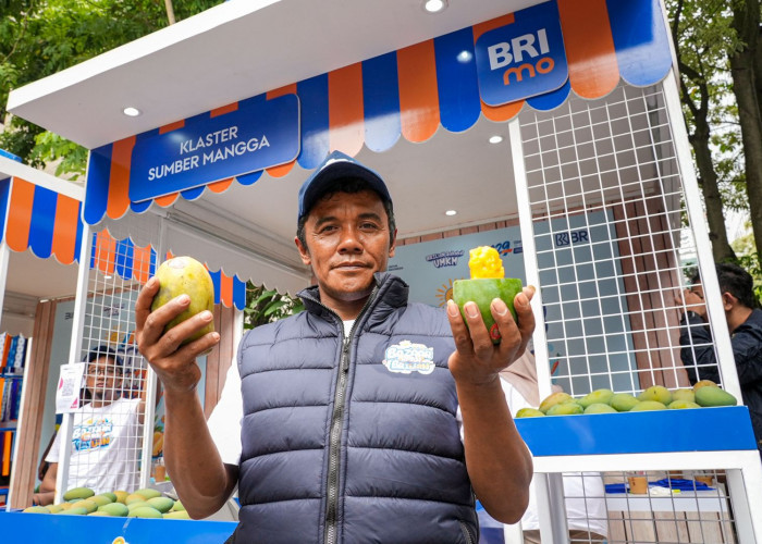 Diberdayakan BRI, Petani Mangga Bondowoso Mampu Perluas Lahan dan Tingkatkan Taraf Hidup