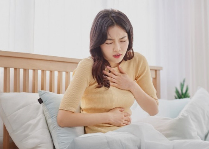 Jangan Tertipu Saat Demam Turun! Kenali Fase Kritis Demam Berdarah yang Paling Berbahaya