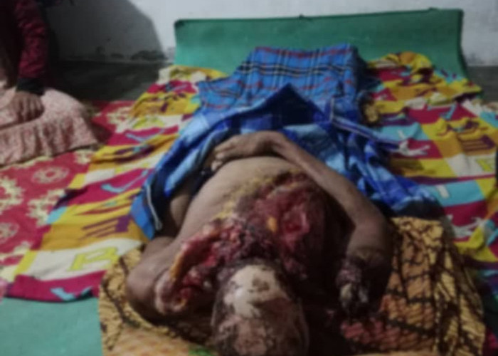 Warga Mura Ditemukan Tewas Diduga Diterkam Harimau