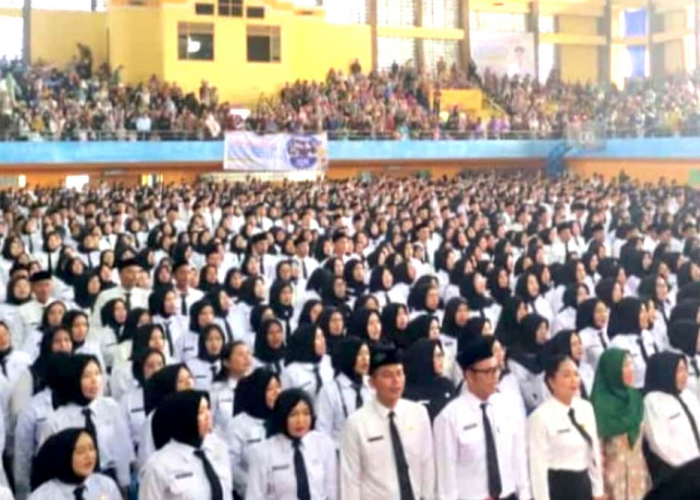 Belasan PPPK Paruh Waktu di OKU Mengundurkan Diri, Administrasi hingga Alasan Pribadi Jadi Pemicu