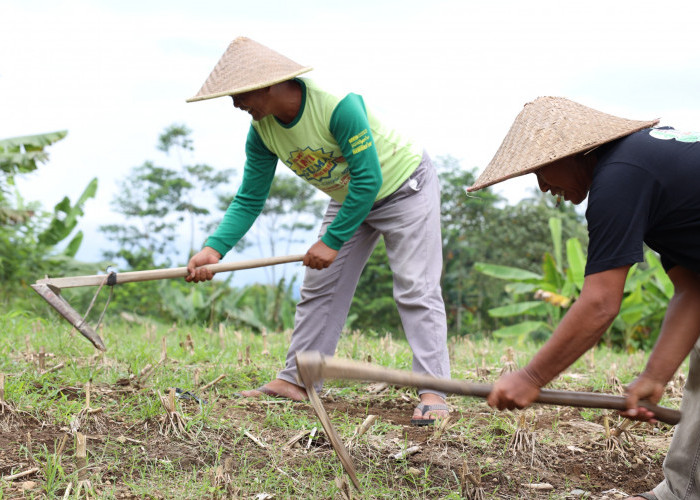 Konflik Belasan Tahun Berakhir, Sertipikat Redistribusi Tanah Buka Jalan Pemulihan Ekonomi Desa Soso