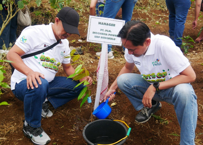 PLN UID S2JB Tanam 3.000 Pohon di Rejang Lebong