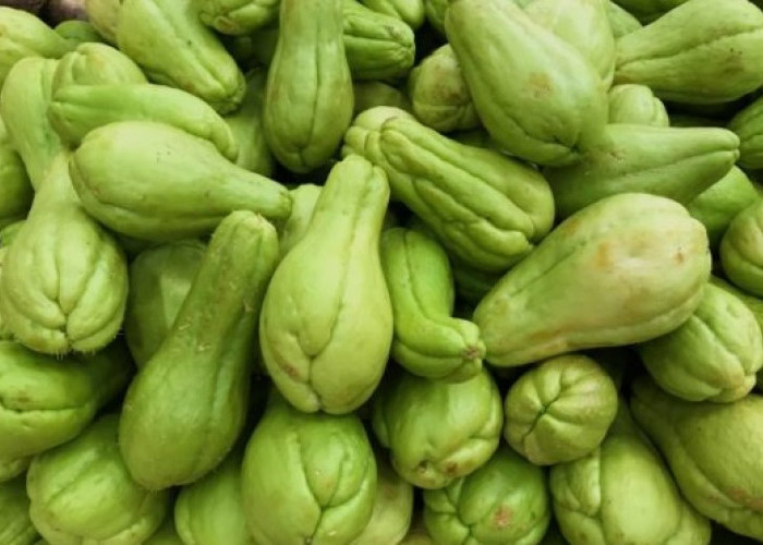 Resep Sayur Labu Gurih dan Praktis untuk Sehari-hari