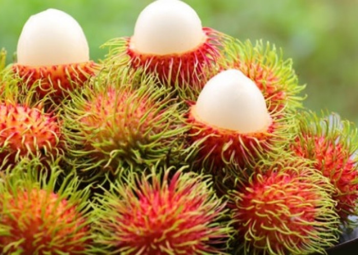 Keuntungan Luar Biasa dari Buah Rambutan untuk Kesehatan Kita