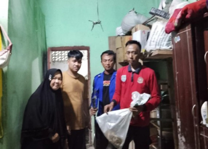 Disdamkarmat OKU Selatan Evakuasi Ular Beling dari Rumah Warga