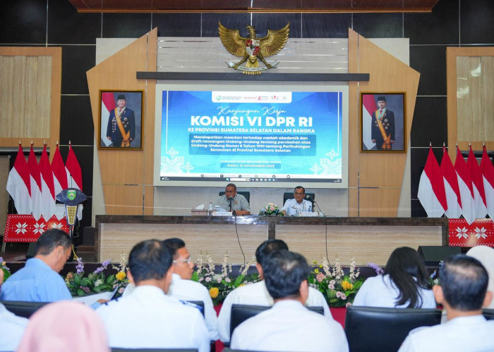 PLN UID S2JB Dampingi DPR RI Bahas RUU Perlindungan Konsumen