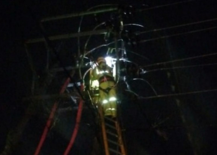 Cuaca Ekstrem, PLN ULP Baturaja Berjuang Pulihkan Listrik di Tengah Badai
