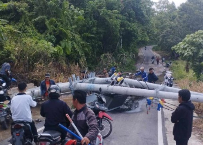 Dua Tiang Listrik Roboh di Pantai Pelangi Danau Ranau, Arus Lalu Lintas Sempat Lumpuh