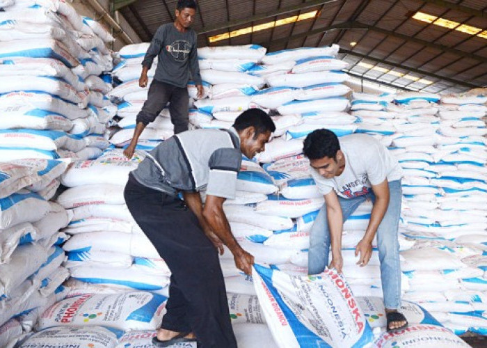 Stok Aman! Pemkab OKU Selatan Pastikan Pupuk Subsidi Dijual Sesuai Harga Resmi