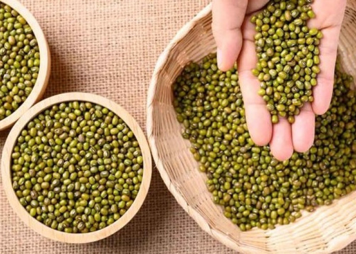 7 Manfaat Kacang Hijau untuk Kesehatan yang Wajib Anda Ketahui