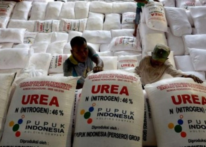 Pemkab OKU Selatan Pastikan Kebutuhan Pupuk Subsidi 2025 Terpenuhi