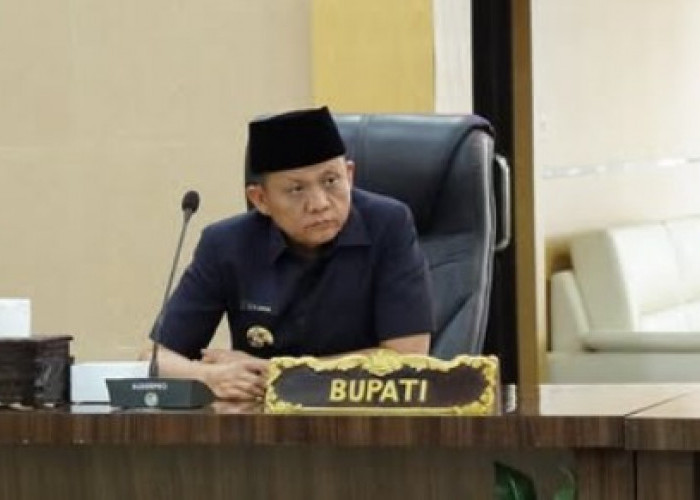 Ajukan  4.257 Honorer Jadi PPPK Paruh Waktu, Anggaran Jadi Perhatian