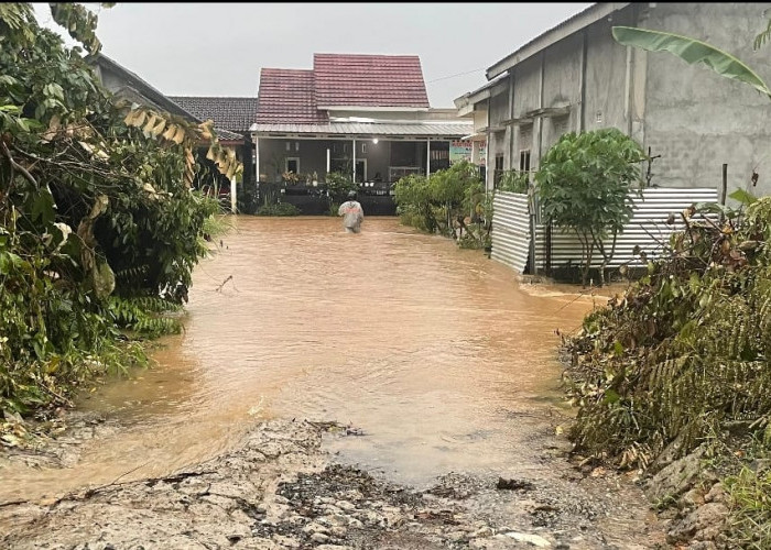 Akademisi: Tinjauan saja Tak Cukup, Saatnya Pemda OKU Atasi Masalah Rakyat
