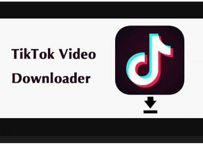 Download video Tiktok  tanpa watermark Tanpa Aplikasi  ttsave.app Terbaru 2023
